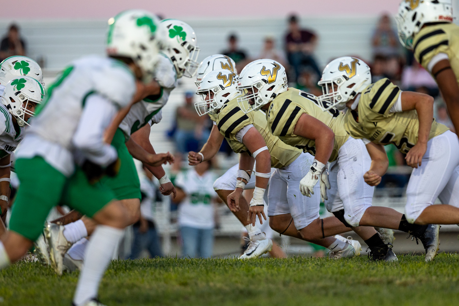 Two football teams line up at the line of scrimmage, gold jerseys against green and white uniforms on a sunny field.