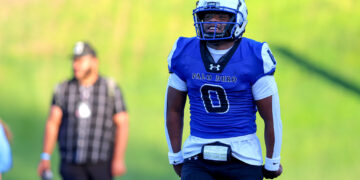 Football player in blue Palo Duro jersey and helmet on the field, smiling, with blurred teammate in background.