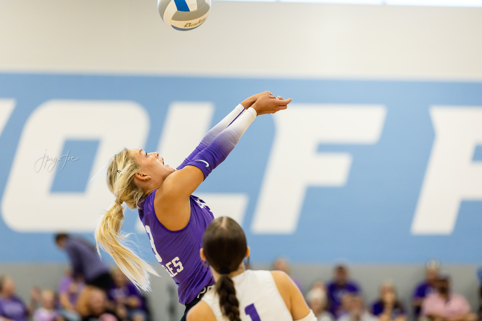 canyon-vs-west-plains-jpegJoe-volleyball-pps-5 | Press Pass Sports Female volleyball player in purple jersey reaches up to save or spike the ball during an indoor match, with cheering crowd in the background.