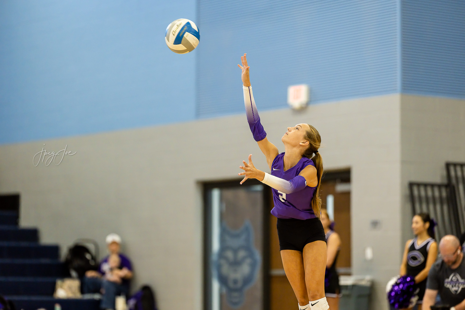 canyon-vs-west-plains-jpegJoe-volleyball-pps-9 | Press Pass Sports Female volleyball player in a purple jersey jumps to set the ball in an indoor gym, with spectators in the background.