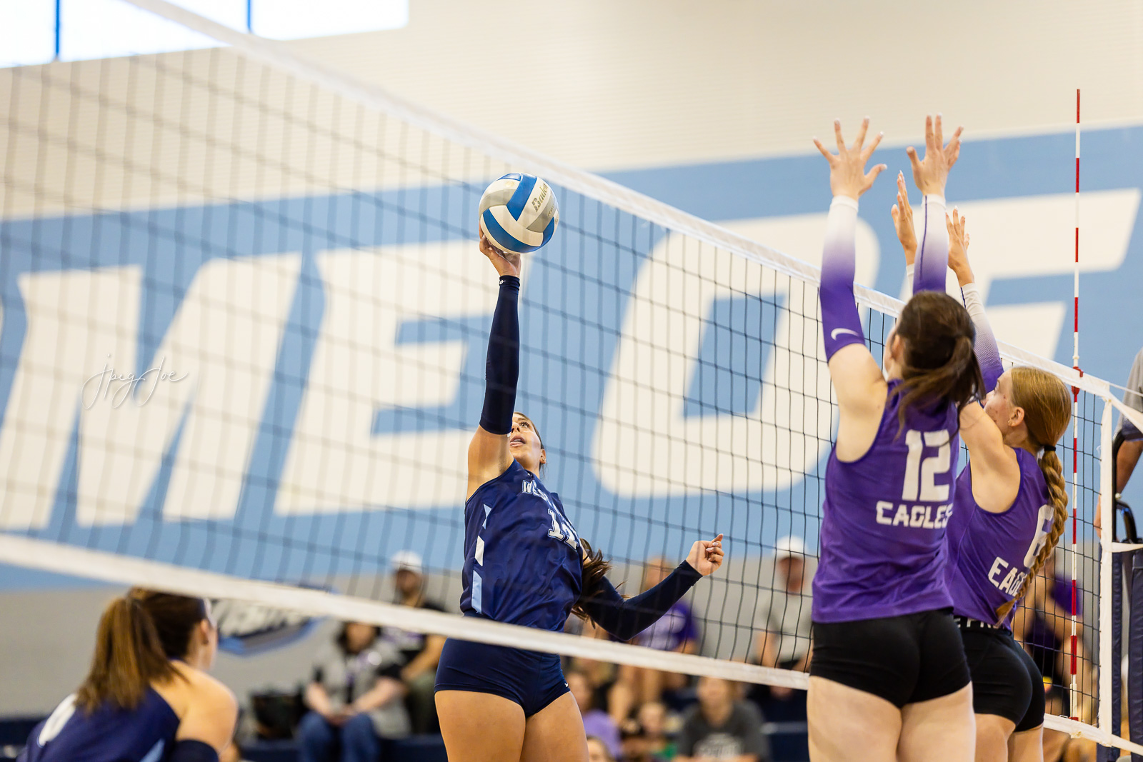canyon-vs-west-plains-jpegJoe-volleyball-pps-15 | Press Pass Sports Female volleyball player in blue spikes the ball over the net as opponents in purple attempt to block at the net during a match on a gym court.