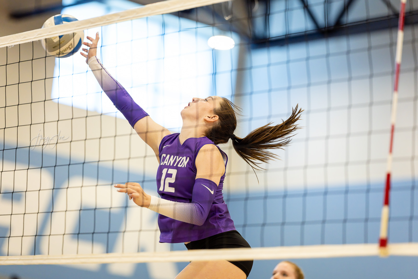 canyon-vs-west-plains-jpegJoe-volleyball-pps-19 | Press Pass Sports Female volleyball player in a purple Canyon jersey #12 jumps at the net, reaching to hit the ball during an indoor match; her ponytail swings as she extends toward the ball.