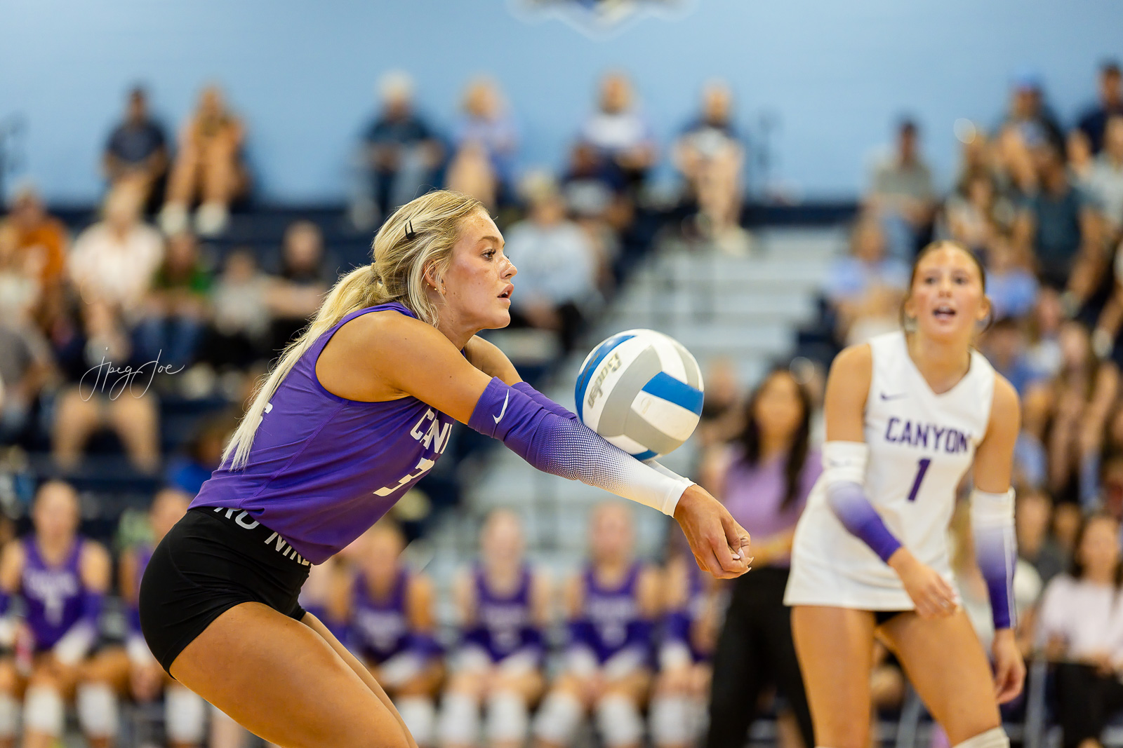 canyon-vs-west-plains-jpegJoe-volleyball-pps-24 | Press Pass Sports Female volleyball player in a purple jersey dives for the ball while a teammate in white watches, with a crowded gym in the background.