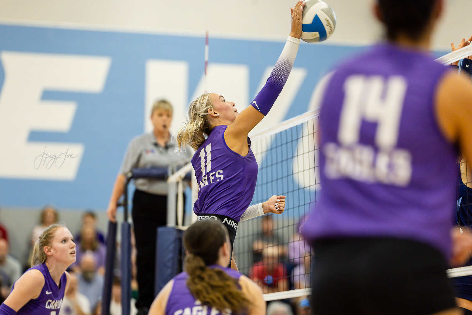 canyon-vs-west-plains-jpegJoe-volleyball-pps-30 | Press Pass Sports Female volleyball player in purple jumps to spike the ball over the net in a crowded gym.