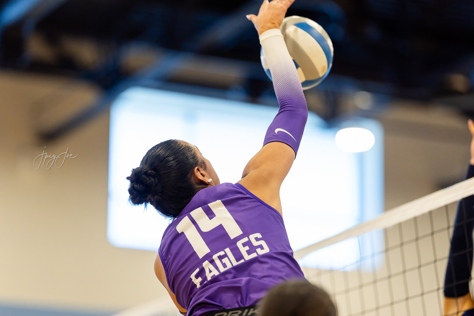 canyon-vs-west-plains-jpegJoe-volleyball-pps-31 | Press Pass Sports Volleyball player in a purple jersey spikes the ball over the net, back view in a gym.