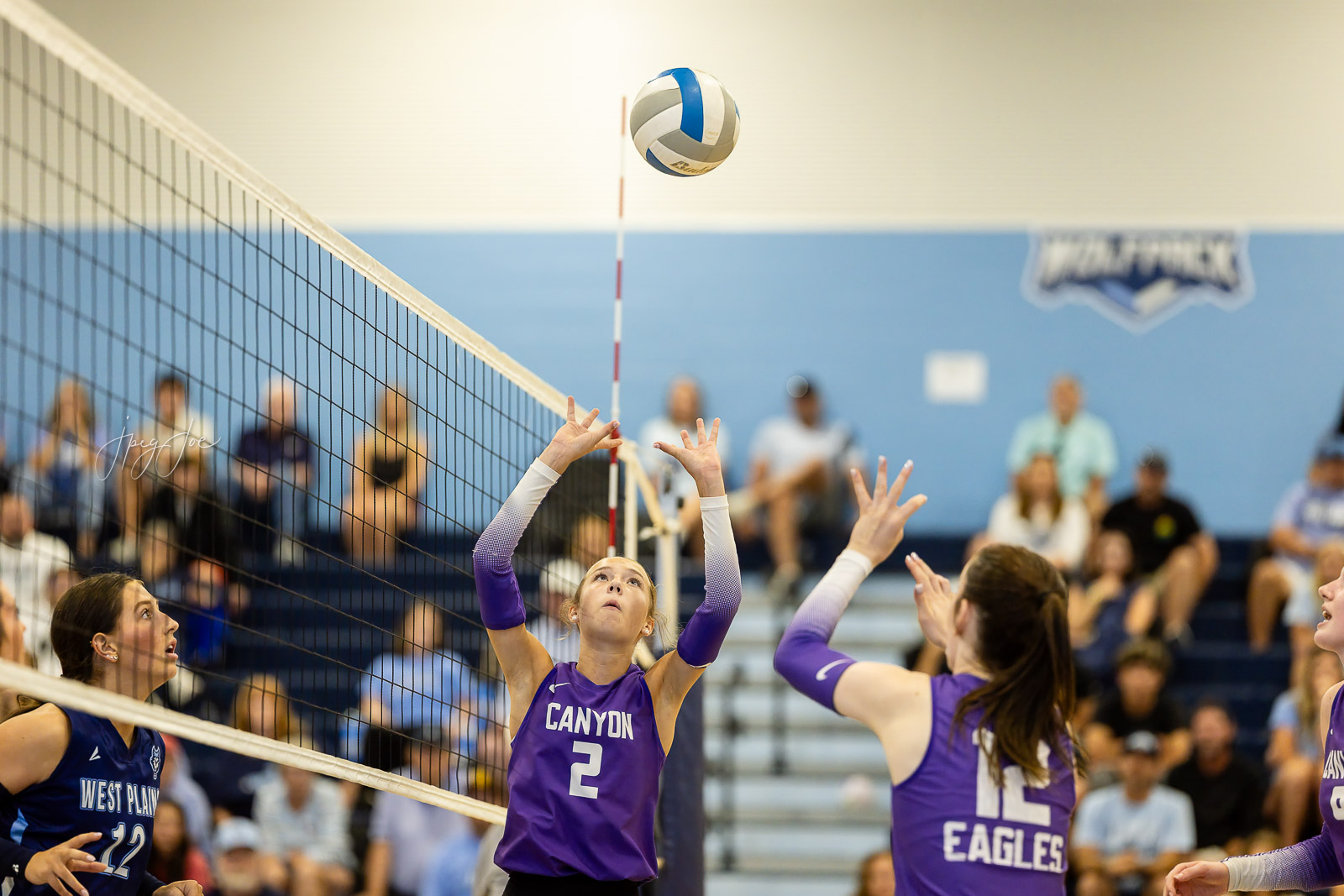 canyon-vs-west-plains-jpegJoe-volleyball-pps-41 | Press Pass Sports Volleyball players in purple Canyon uniforms reach for the ball at the net during a match, with spectators in the blue gym behind them.