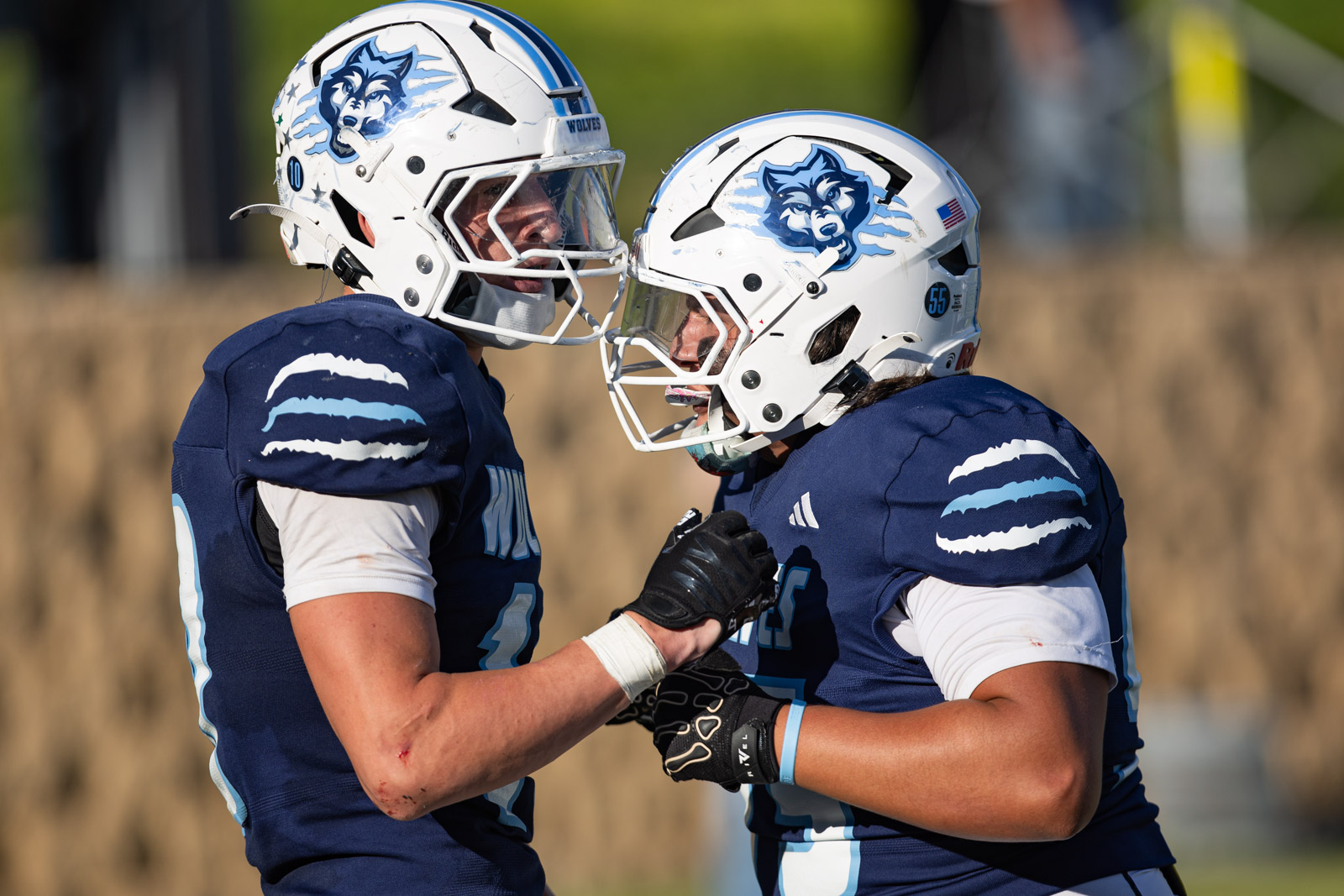LHS-WPHS-FB-52 | Press Pass Sports Two football players in blue uniforms share a fist bump on the field, wearing white helmets with wolf logos.