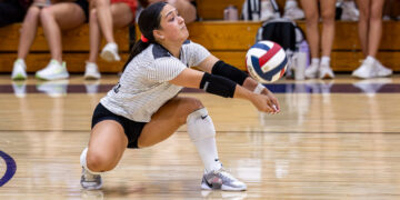 Volleyball player dives low to dig the ball on a polished gym floor, with spectators in the background.