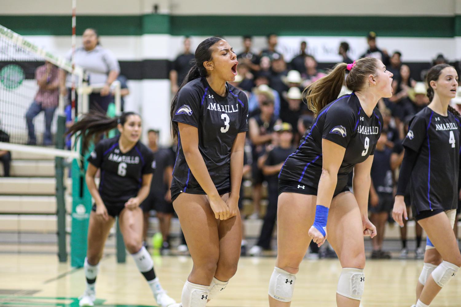 CB Edit 2 | Press Pass Sports Volleyball players in black uniforms celebrate on the court, foreground player with number 3 shouting.