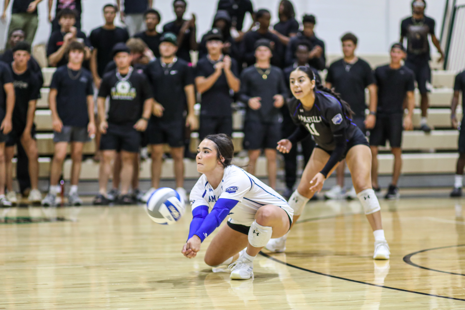 CB Edit 3 | Press Pass Sports Female volleyball player in a white uniform dives to dig the ball on a polished gym floor, crowd watching from bleachers in the background.