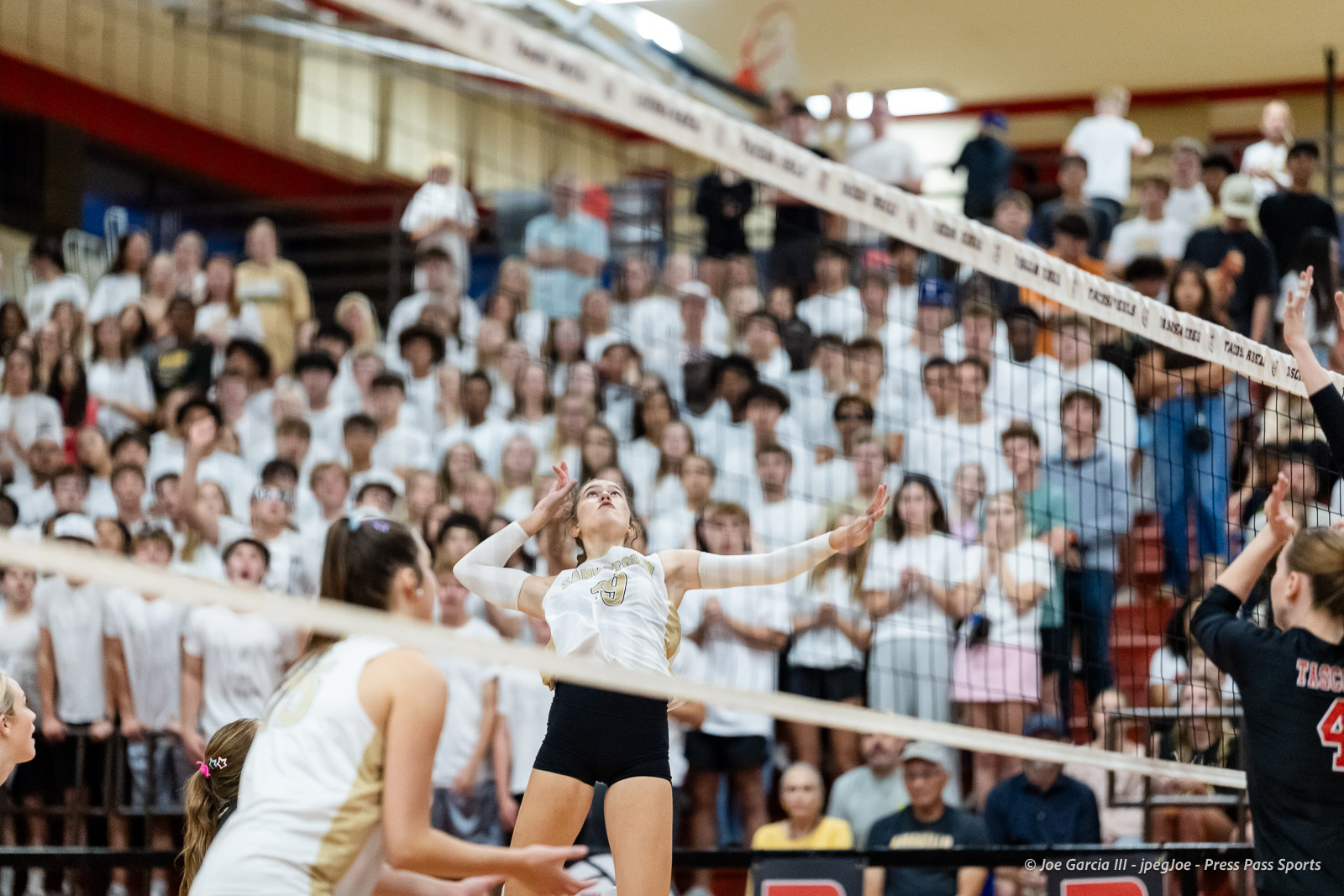 amarillo-high-vs-tascosa-volleyball-jpegJoe-pps-6 | Press Pass Sports Female volleyball player in white and gold jumps near the net as the crowd cheers in the gymnasium.