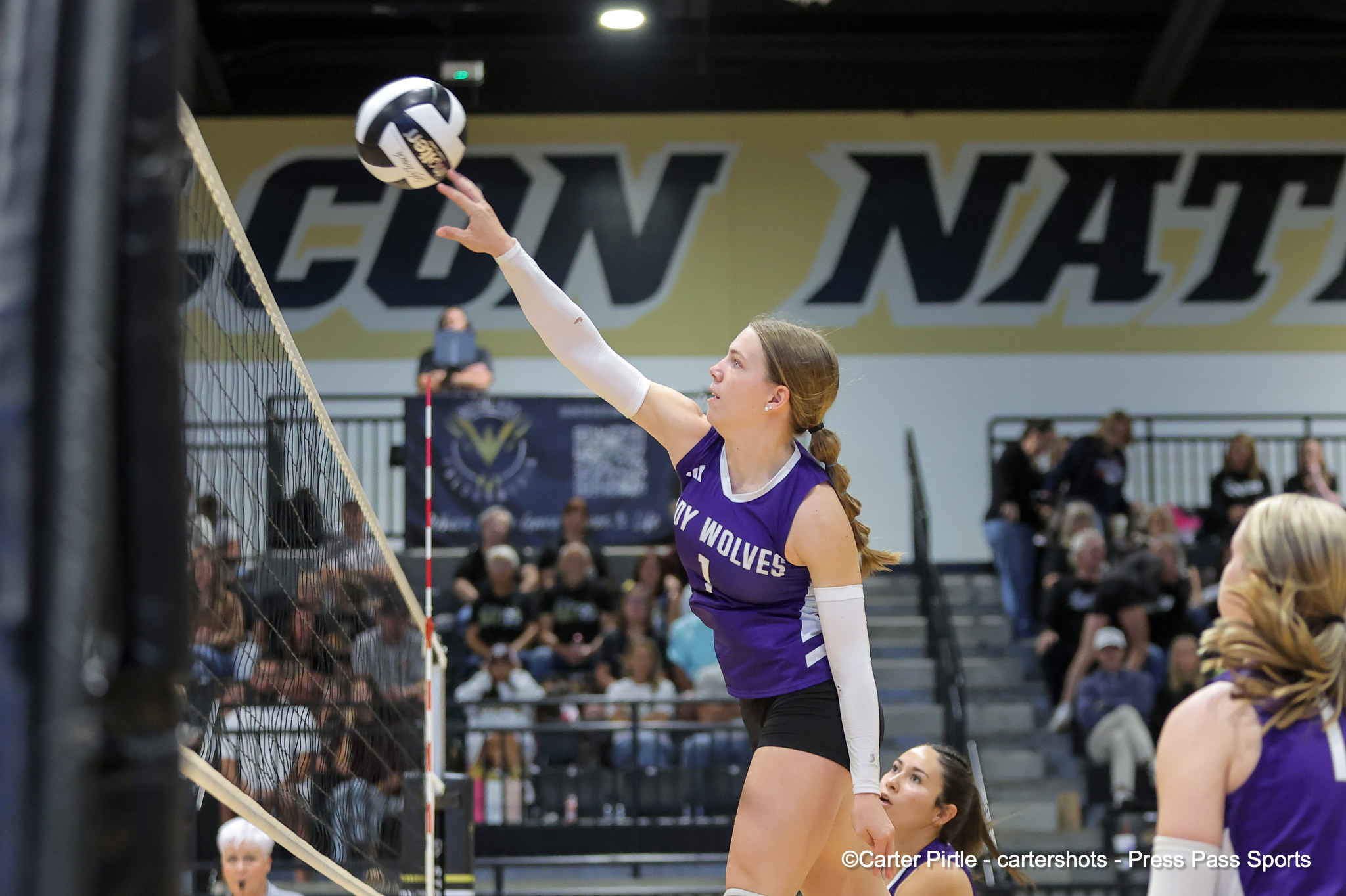 Female volleyball player in a purple Wolves jersey reaches to touch the ball at the net during a match, crowd in the stands behind her.