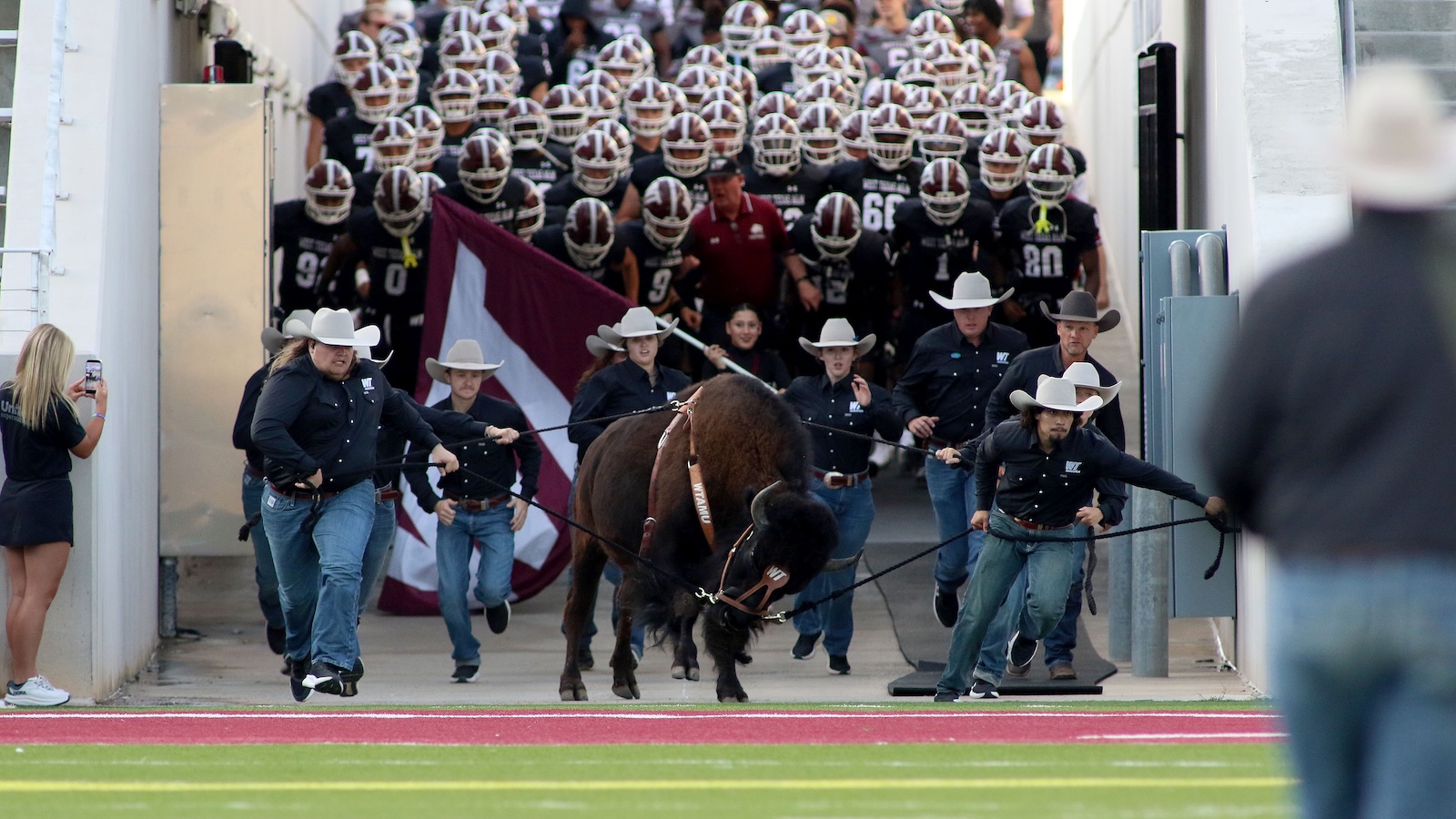 Brown horse being led by Cowboys in black shirts and white hats as a college football team storms onto the field from a tunnel.