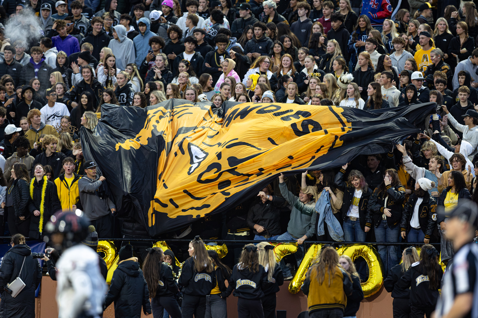 THS-AHS-FB-11 | Press Pass Sports Crowd of students in a stadium waving a large yellow and black tiger banner above their heads.