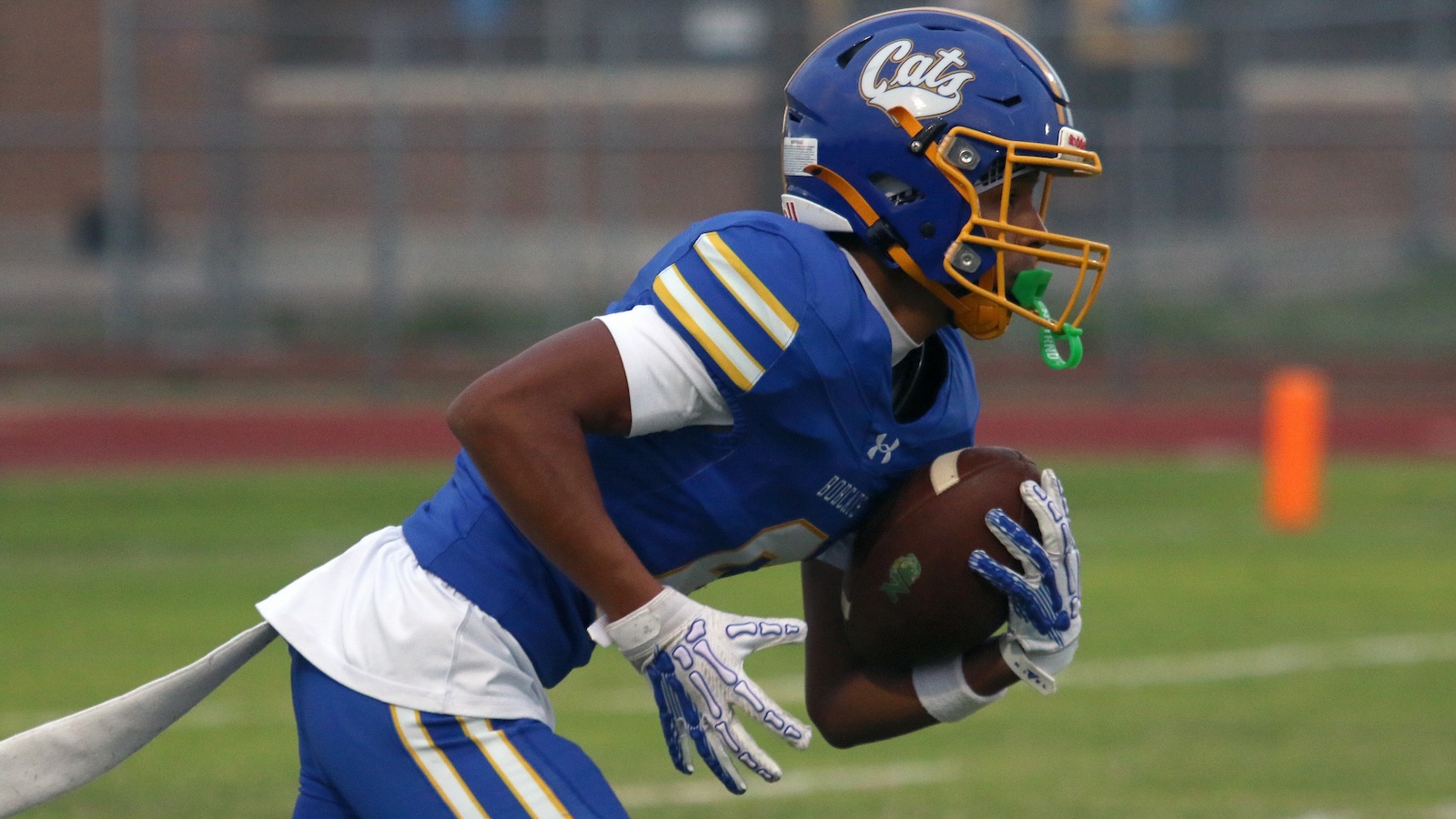 Football player in blue and yellow uniform running with the ball during a game, helmet with a'Cats' logo visible on the side.