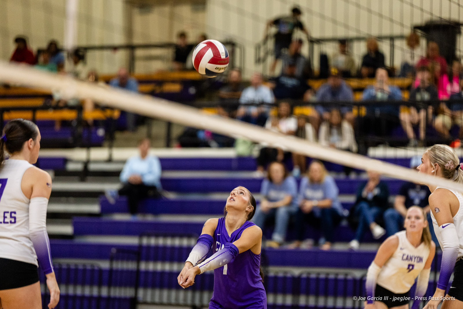 Volleyball player in purple prepares to receive a ball as teammates and spectators look on in a gymnasium bleachers."