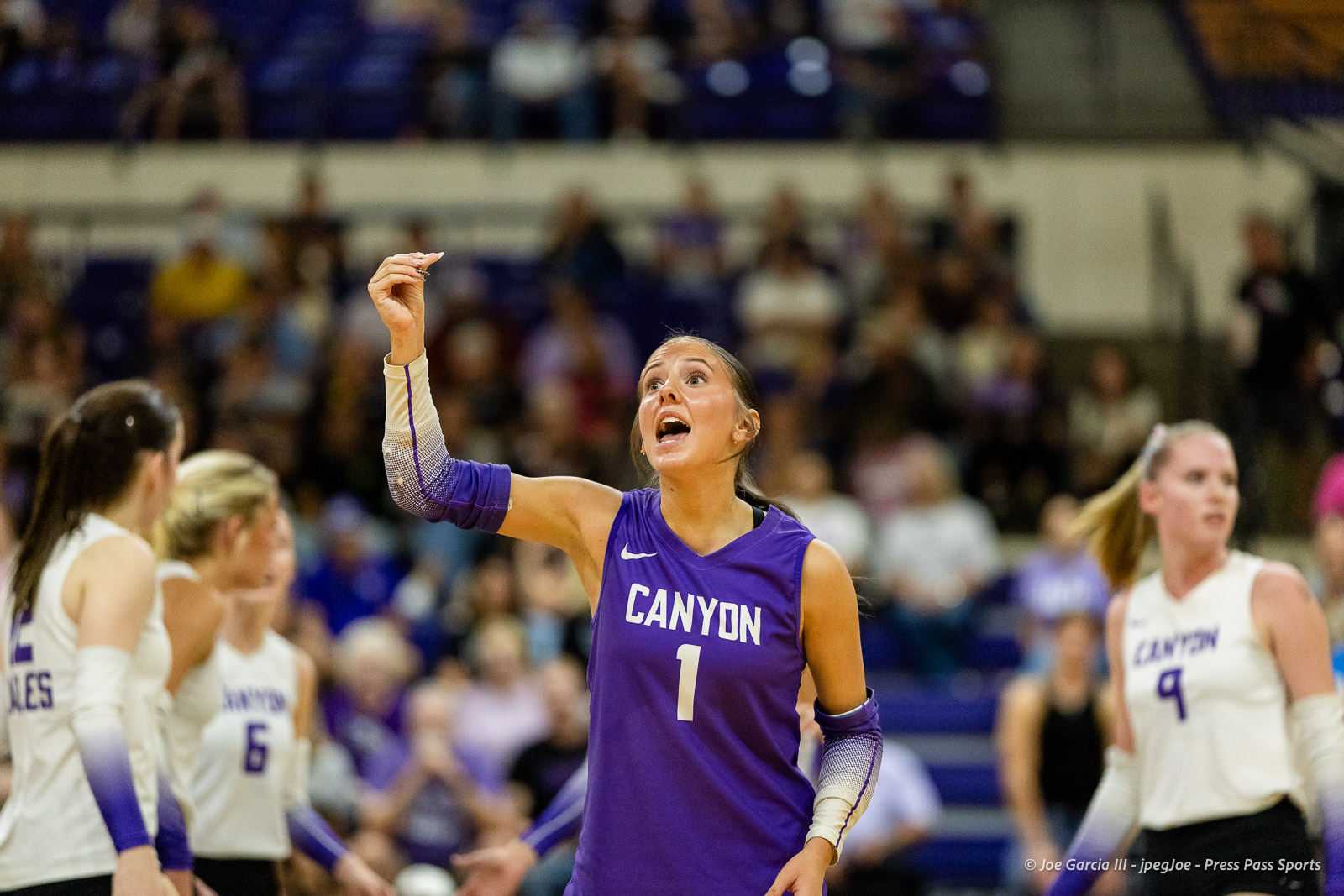 Woman basketball player in a purple Canyon jersey with the number 1 raises her right fist in celebration on the court, teammates in white jerseys nearby and a blurred crowd in the stands behind her.