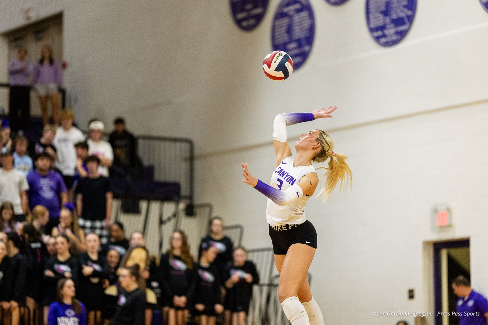 Volleyball player in a white jersey serves the ball mid-air as a crowded gym watches.