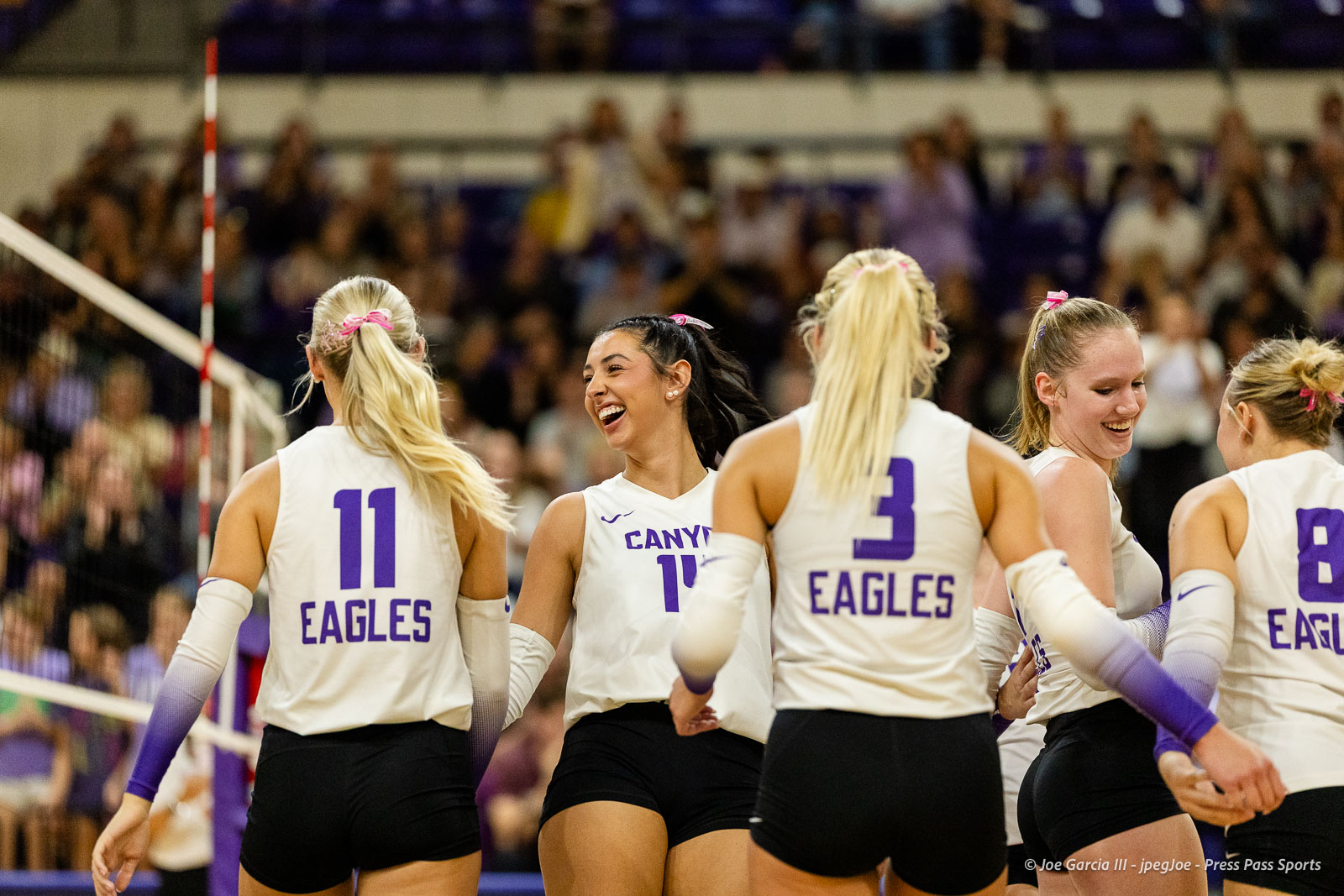Six female volleyball players in white jerseys with purple numbers celebrate together on the court.