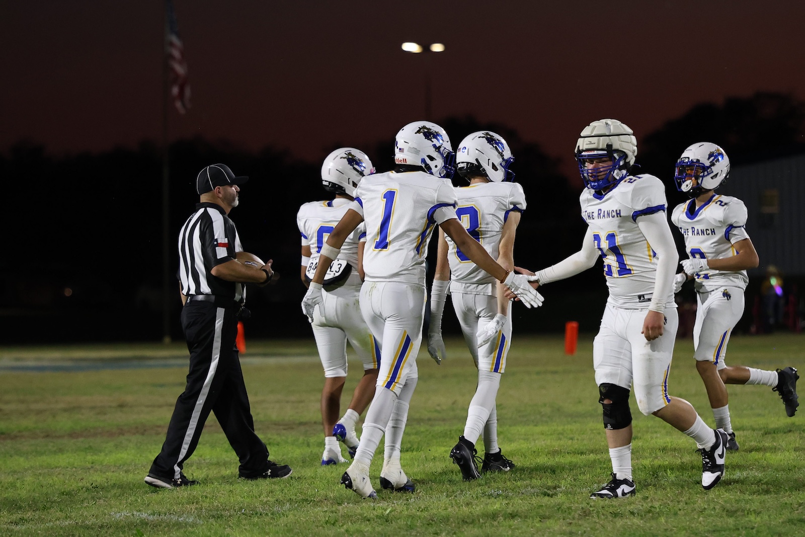 Group of football players in white uniforms high-fiving a referee on a grassy field at night.