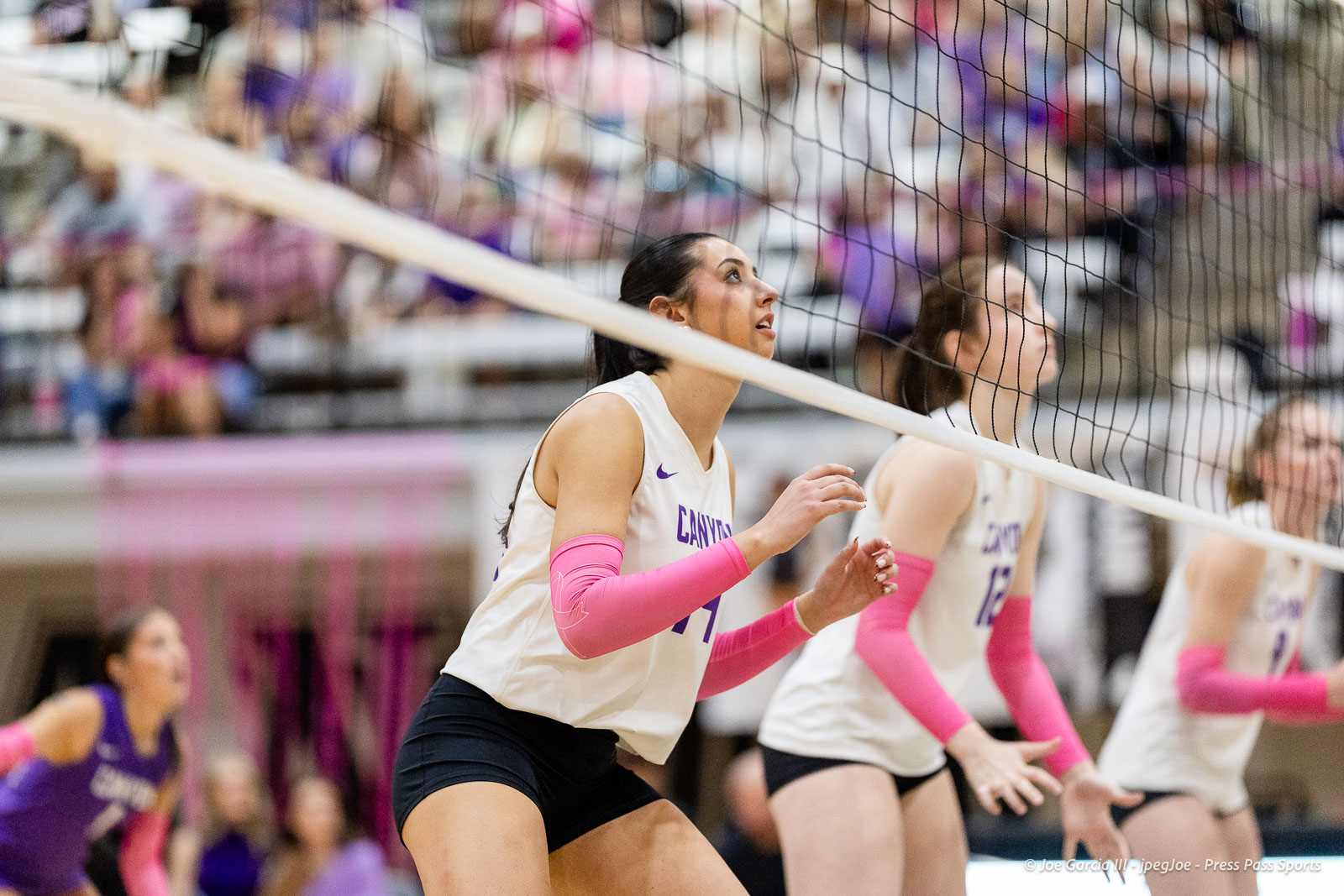 canyon-vs-west-plains-2026-1 | Press Pass Sports Volleyball players in white jerseys with pink sleeves crouch near the net during a rally, focused on the ball with a crowded gym in the background
