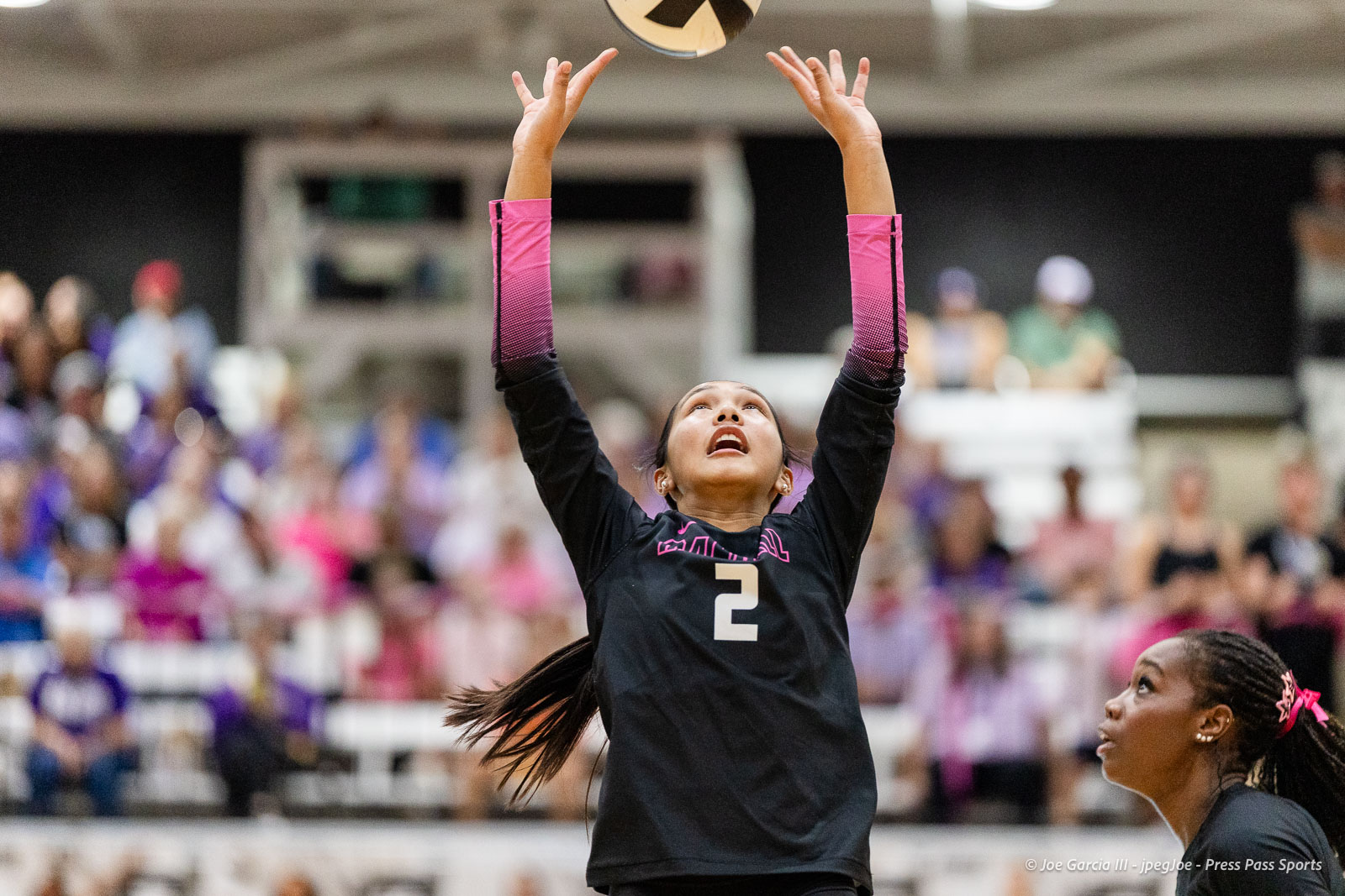 canyon-vs-west-plains-2026-8 | Press Pass Sports Young female volleyball player in a black jersey with pink sleeves, number 2, reaching up to contact a ball during a match with a cheering crowd behind her.