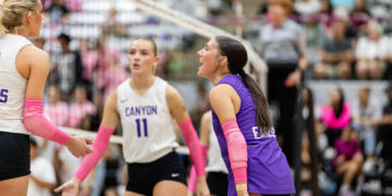 Female volleyball players on the court exchange a high-five near the net during a match; crowd in bleachers behind.