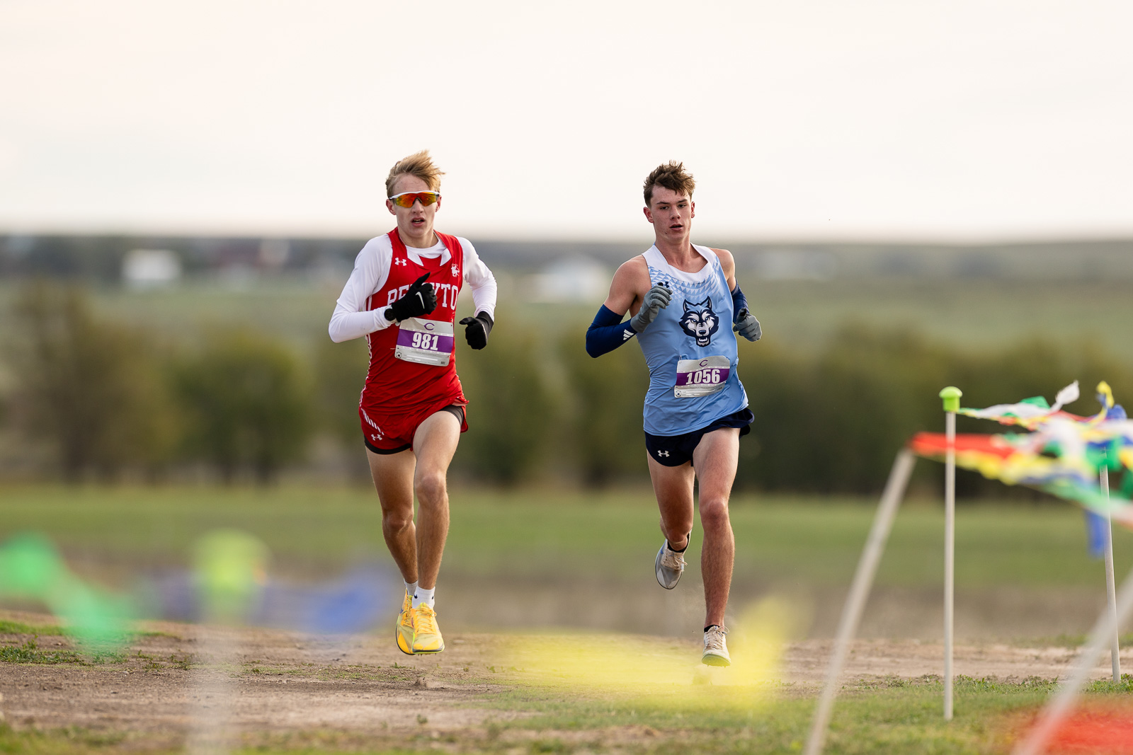 3A-4A-district-xc-jpegJoe-pps-34 | Press Pass Sports Two male runners sprint side by side on a dirt cross‑country course, bibs 981 and 1056, with colorful banners to the right.
