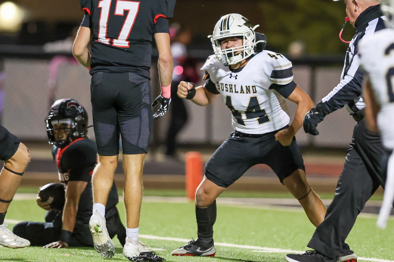 Seabolt Chase-17066 | Press Pass Sports Football players on a night game; white jersey #44 rushes toward the end zone while others tackle and watch nearby