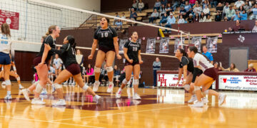 Celebrating volleyball players on the court near the net after a point, with cheering teammates and spectators in the bleachers behind them.