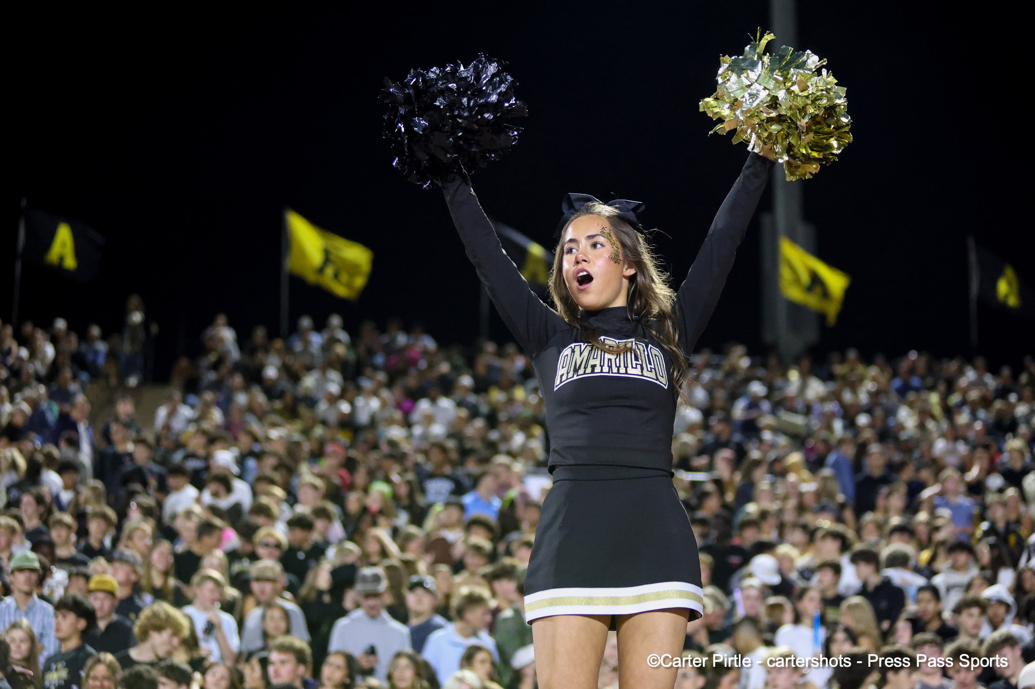 Cheerleader on a football field raising black and gold pom-poms during a night game, crowd in background.