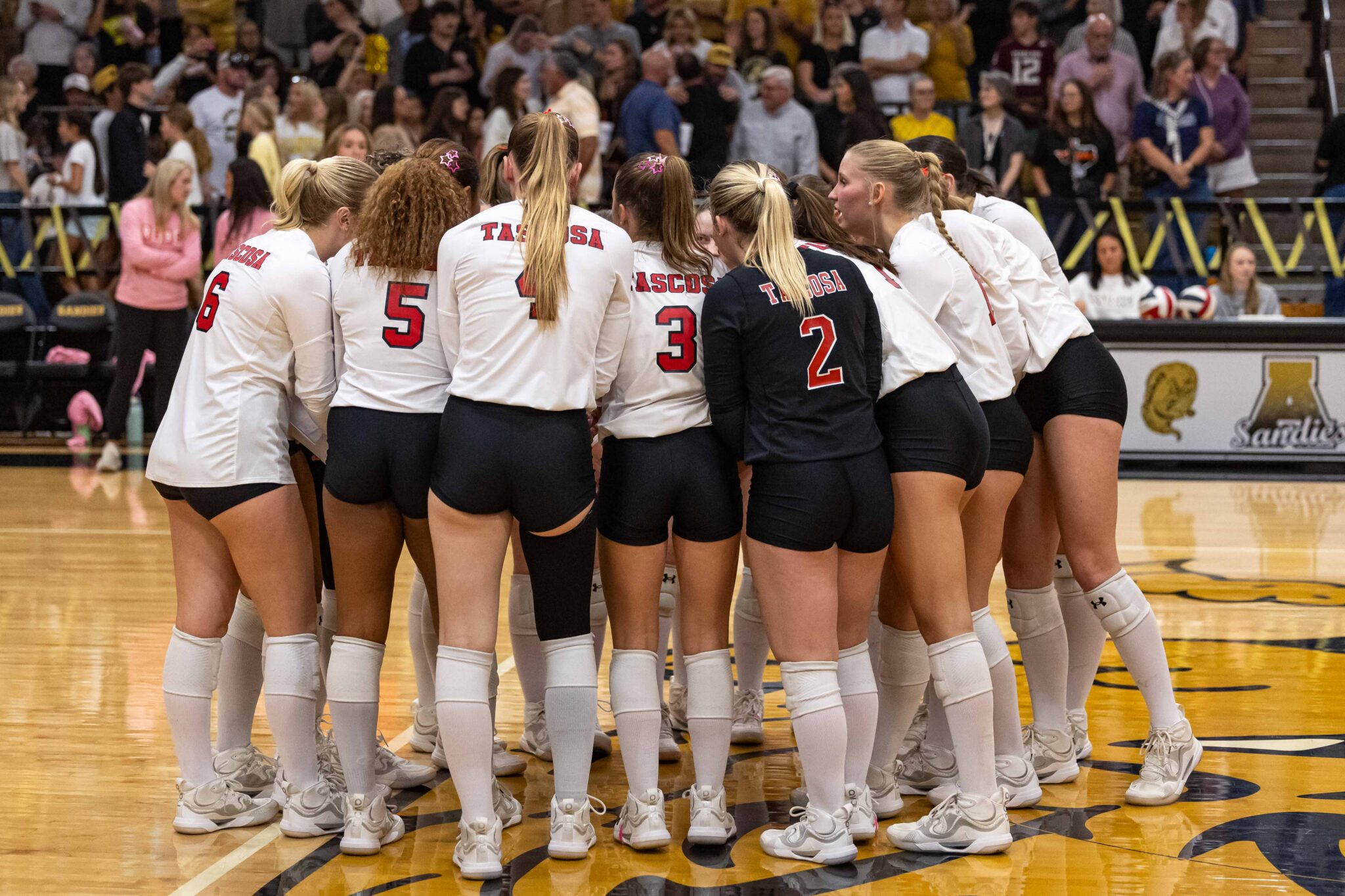 THS-AHS-VB-3 | Press Pass Sports Volleyball players in white uniforms form a huddle on the court as spectators watch from the stands behind them.