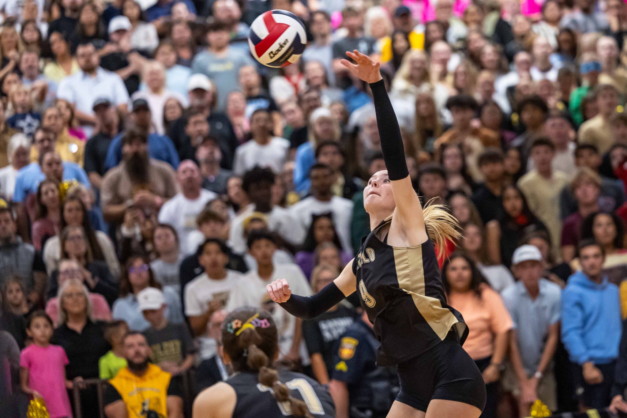 THS-AHS-VB-8 | Press Pass Sports Female volleyball player in black and gold uniform reaching for a ball against a packed crowd backdrop in a stadium.