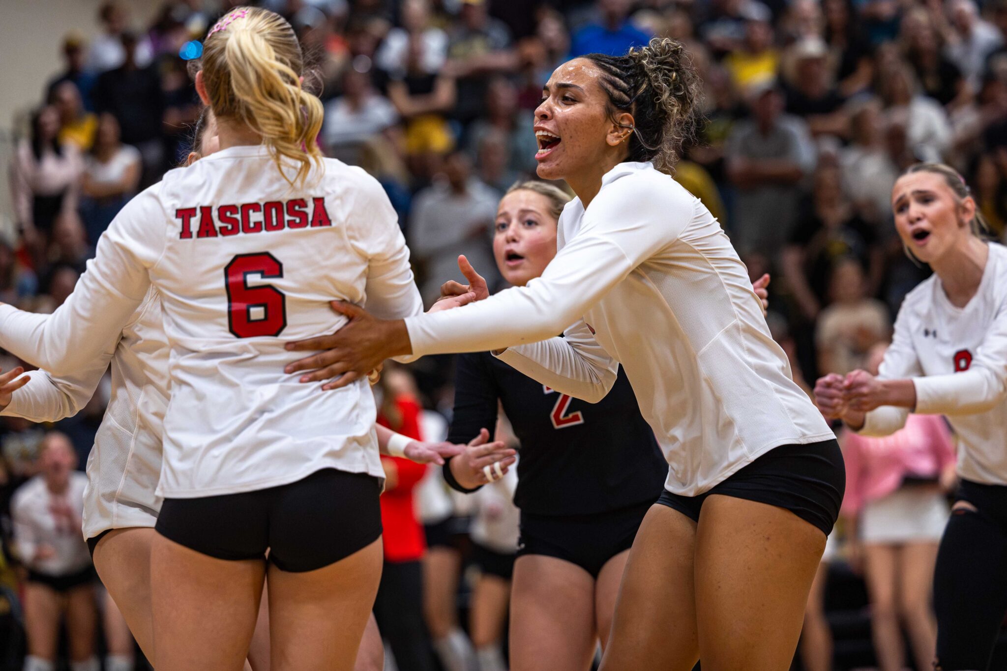 THS-AHS-VB-11 | Press Pass Sports Volleyball players in white jerseys celebrate a point, with'Tascosa' and the number 6 visible on one jersey. A cheering crowd fills the background.