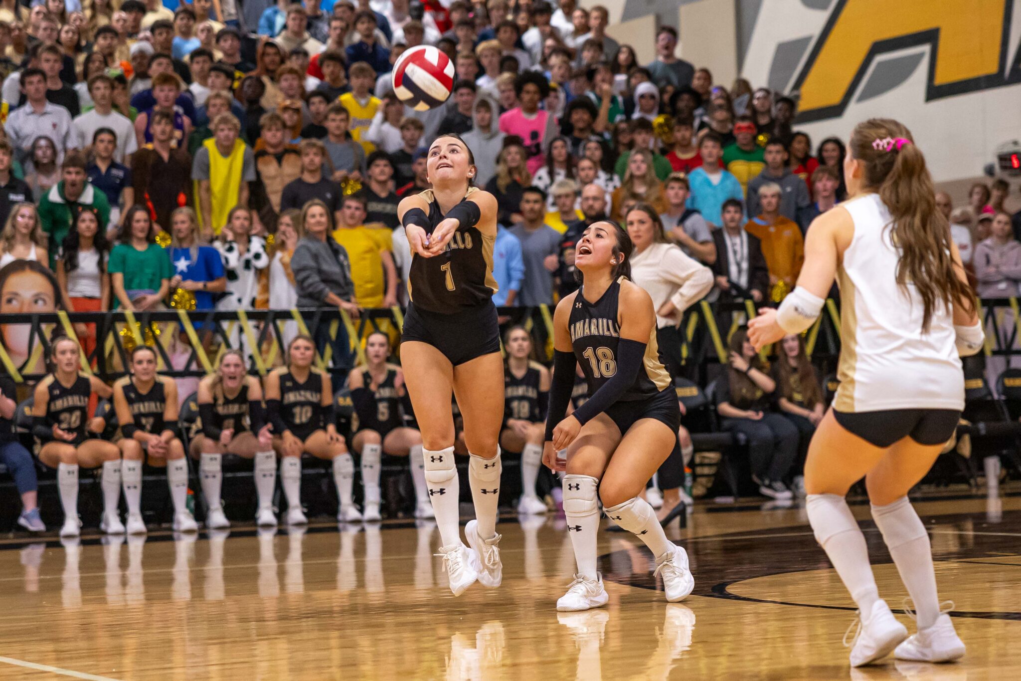 THS-AHS-VB-15 | Press Pass Sports Girls' volleyball match in a crowded gym as two players in black uniforms reach for the ball while a white-uniformed player stands nearby and a cheering crowd fills the bleachers behind them.