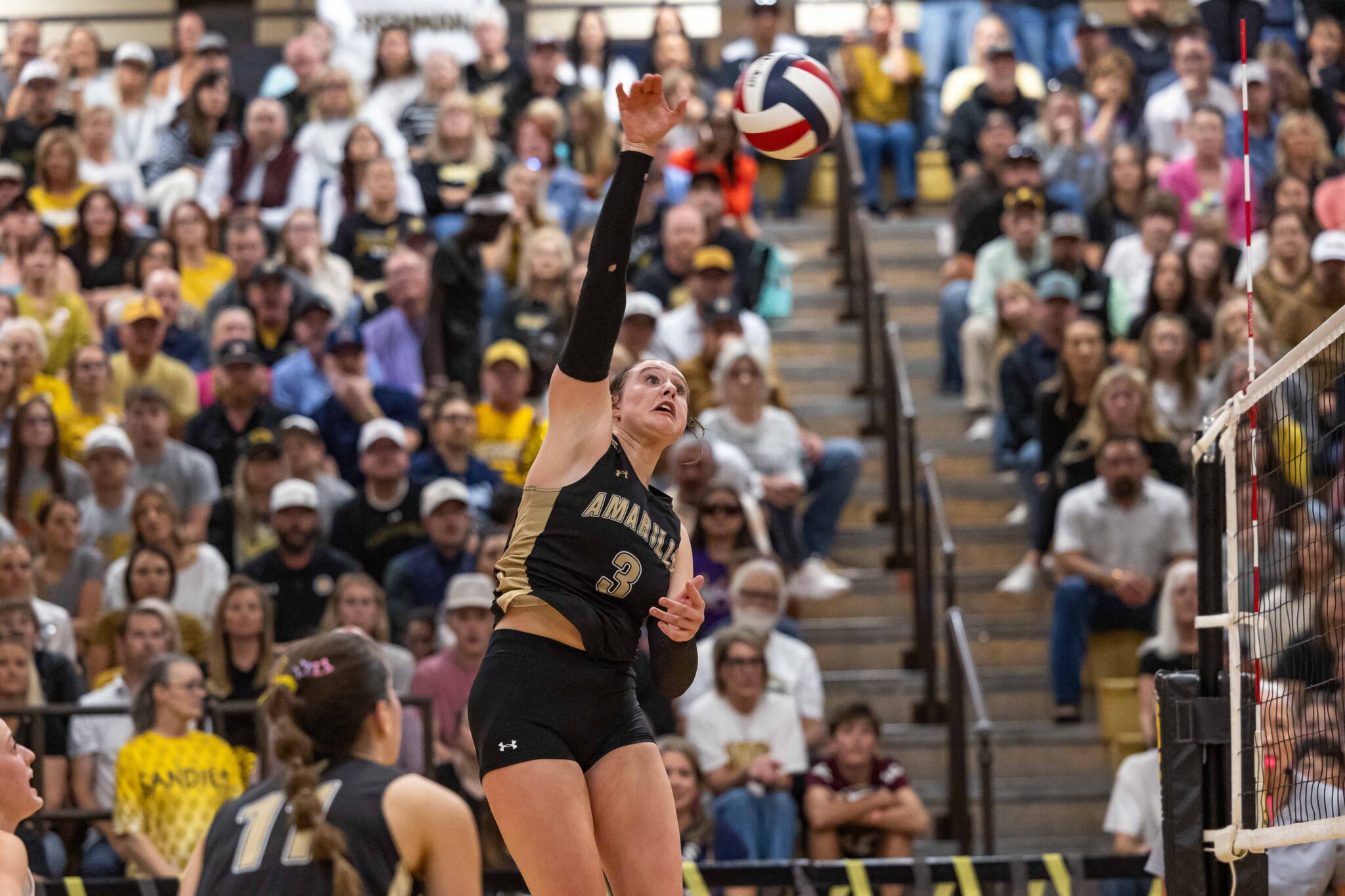THS-AHS-VB-33 | Press Pass Sports Female volleyball player in black/gold uniform rising to spike a ball near the net with a crowded gymnasium in the background