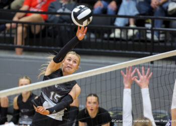 Volleyball player in a black jersey (number 15) leaps to spike the ball over the net, with defenders and spectators in the background.