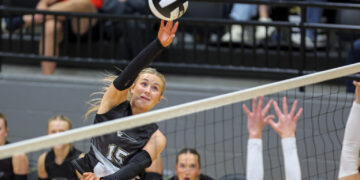 Volleyball player in a black jersey (number 15) leaps to spike the ball over the net, with defenders and spectators in the background.