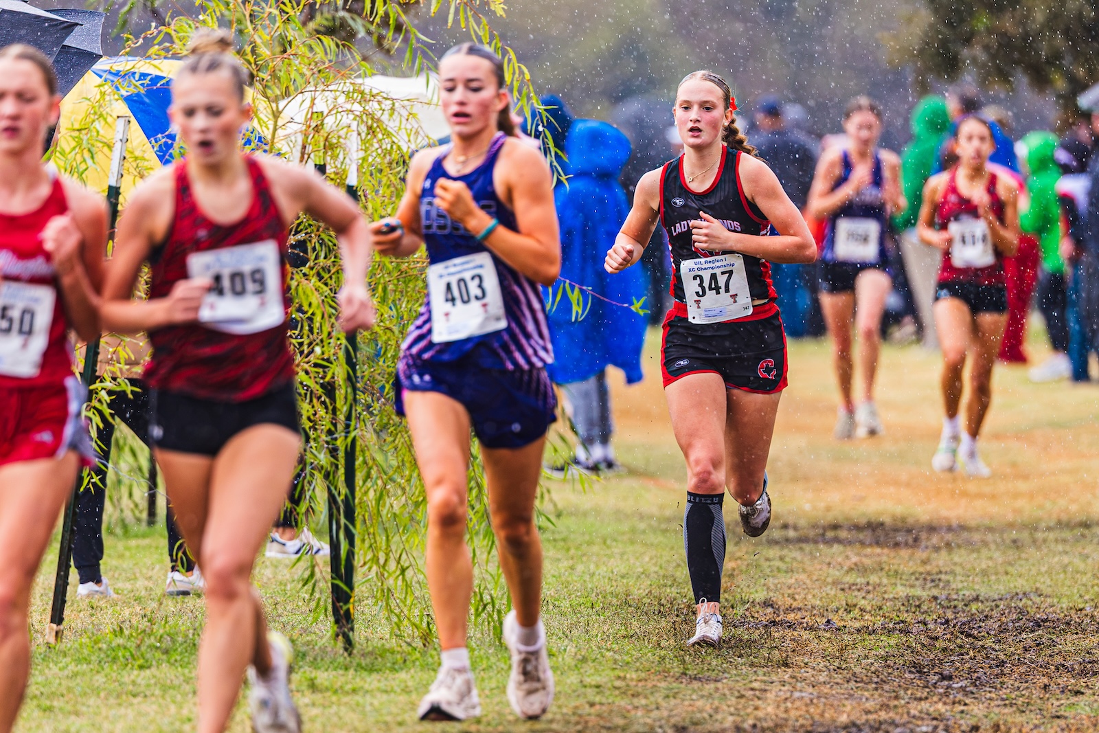 DE3_7513 | Press Pass Sports Female runner in black and red with bib 347 leads a rainy cross-country race on a grassy, muddy course.