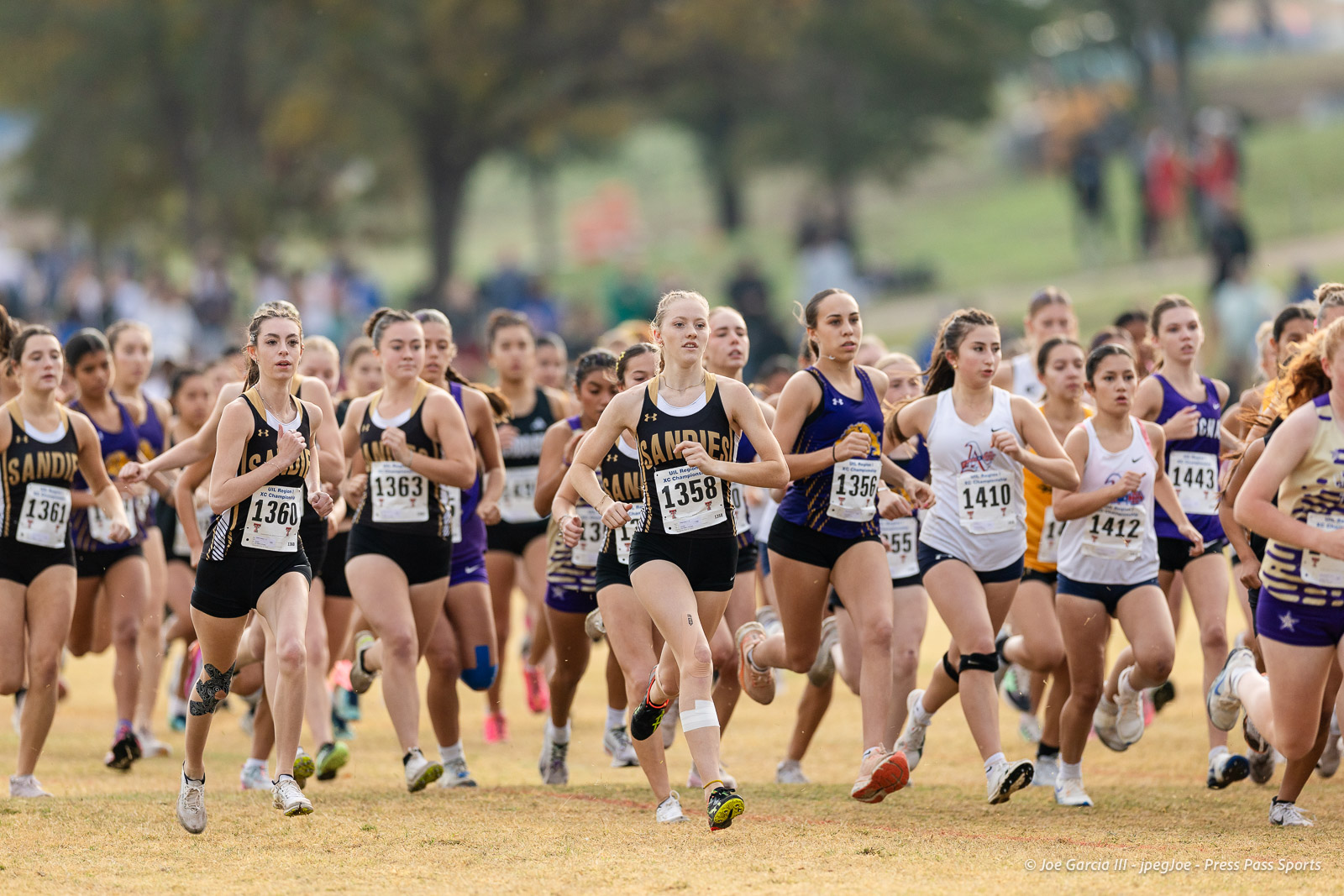 regional-xc-lubbock-2026-jpegJoe-pps-2 | Press Pass Sports Group of female high school runners at the start of a cross-country race on a grassy field, numbers visible on their bibs and team uniforms.