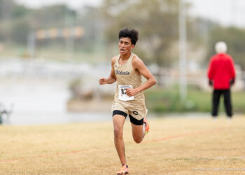 Male runner in a beige Wildcats uniform sprinting on a grassy cross-country course, bib number 87 visible on his chest.