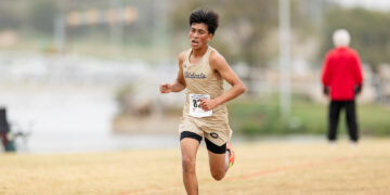 Male runner in a beige Wildcats uniform sprinting on a grassy cross-country course, bib number 87 visible on his chest.
