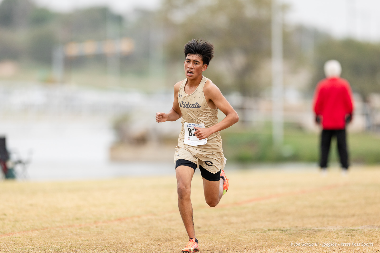 regional-xc-lubbock-2026-jpegJoe-pps-21 | Press Pass Sports Male runner in a beige Wildcats uniform sprinting on a grassy cross-country course, bib number 87 visible on his chest.