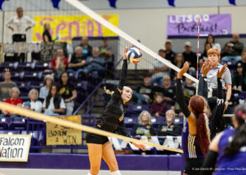 bushland-vs-lubbock-1 | Press Pass Sports Female volleyball player in black uniform spikes the ball over the net during a match, with a referee and cheering crowd in the gym.